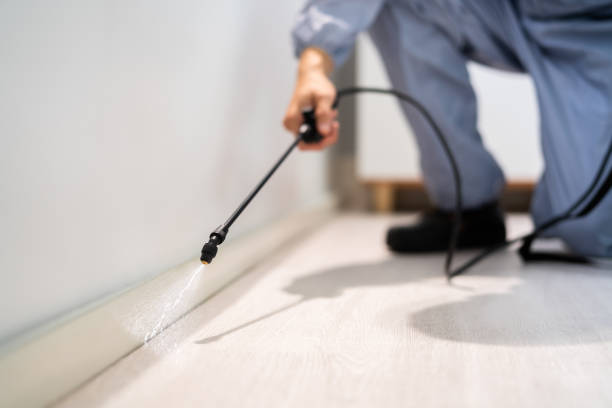 Licensed Rodent Control service in Frontenac, MO - Nex Pest Control
