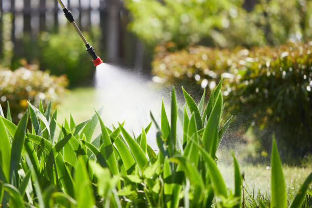 24/7 Emergency Rodent Control experts in Frontenac, MO