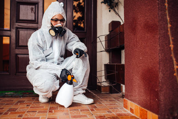 Reliable Rodent Control contractor in Frontenac, MO by Nex Pest Control